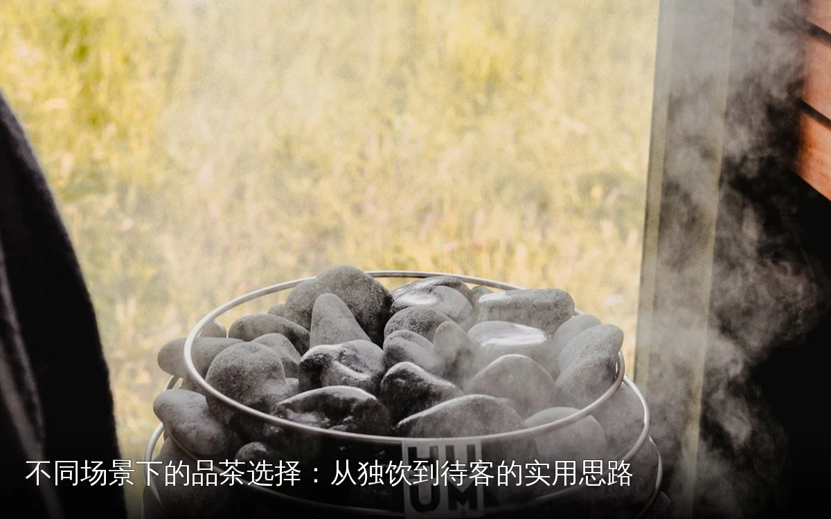 不同场景下的品茶选择：从独饮到待客的实用思路